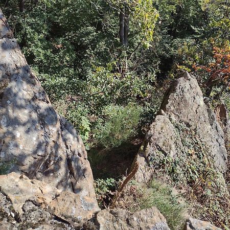 Willa "Kleinstes Haus Von Blankenburg" Urlaub In Einem Einzigartigen Baudenkmal Blankenburg  Zewnętrze zdjęcie