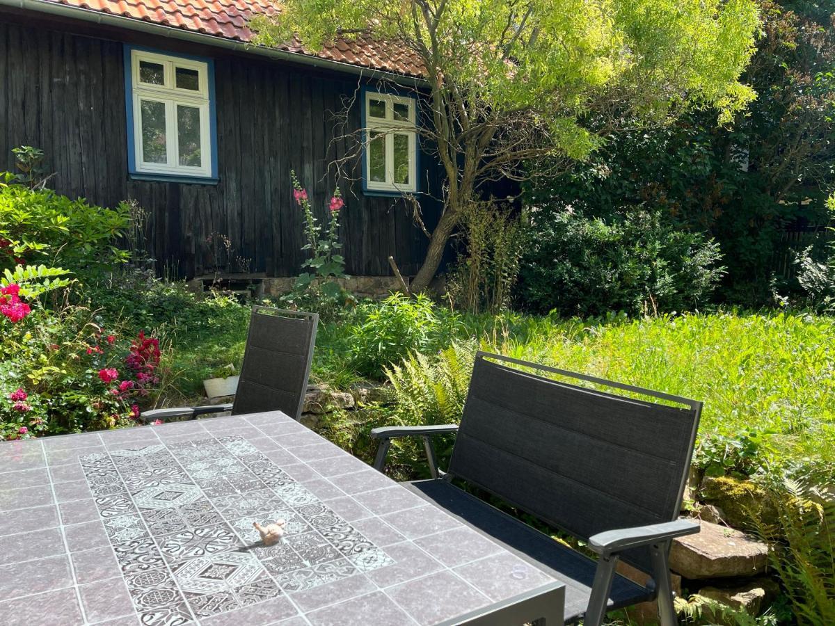 Willa "Kleinstes Haus Von Blankenburg" Urlaub In Einem Einzigartigen Baudenkmal Blankenburg  Zewnętrze zdjęcie